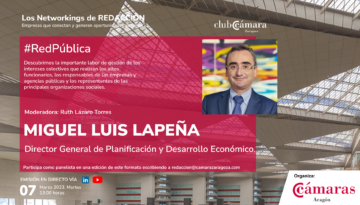 Miguel Luis Lapeña Cregenzán, Director General de Planificación y Desarrollo Económico